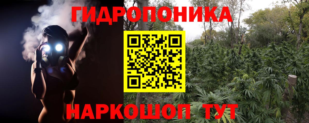 Шишки марихуана SATIVA & INDICA  Бошки марихуана планчик  Бошки Шишки White Widow  Красноармейск  Вход с VPN 